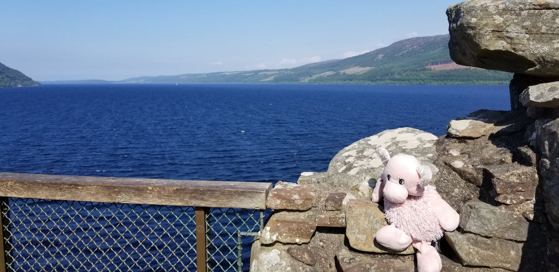 Miso's Adventures: Where is Nessie's Family?!